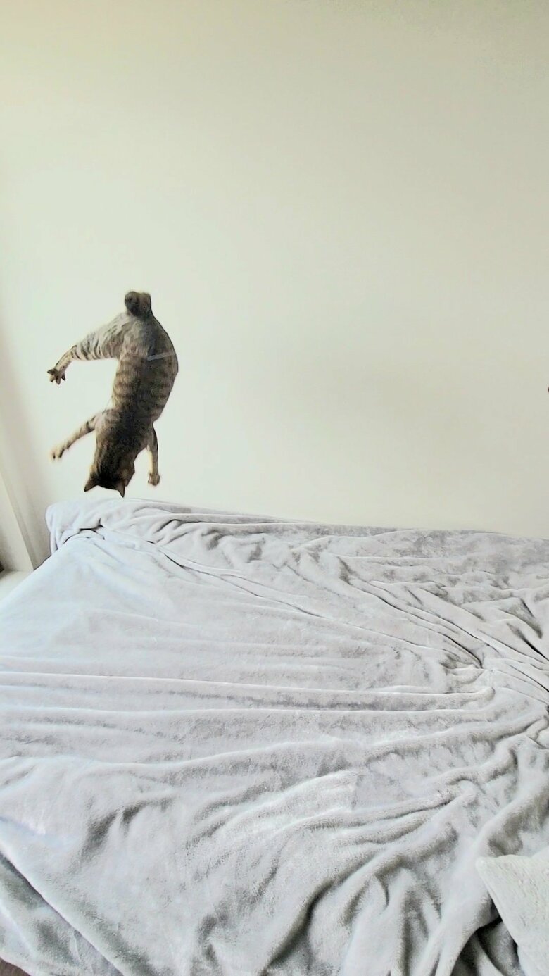 提供：しぴこめさん