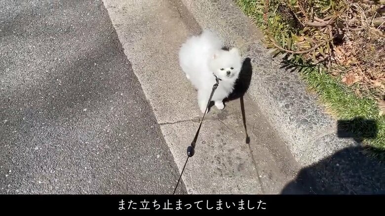 しかし、また立ち止まってしまう