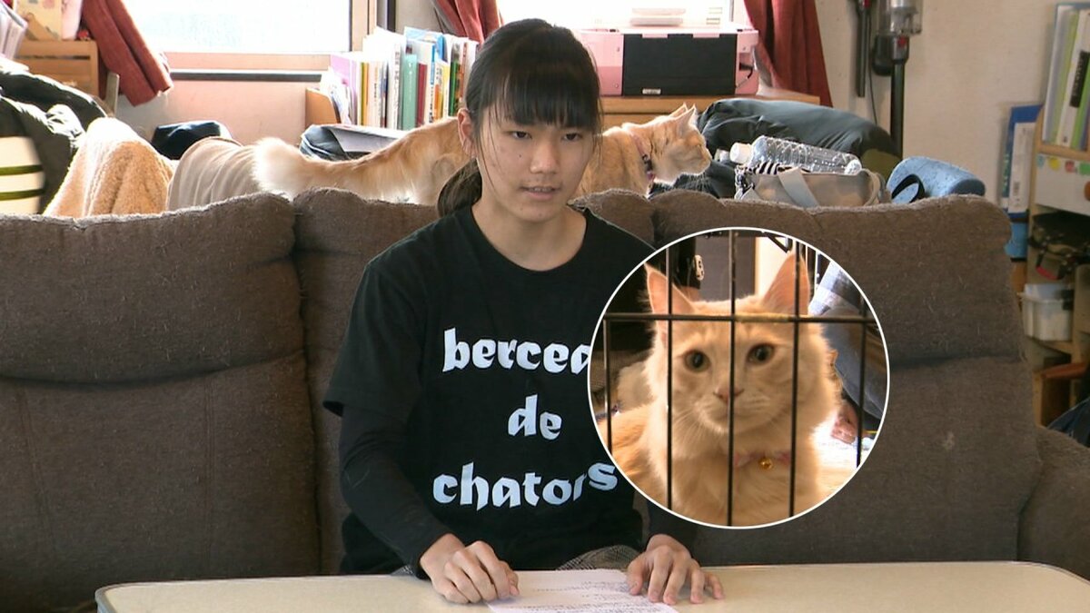 保護ネコ403匹養育の中学生がネコと一緒に記者会見!? NPO法人理事長