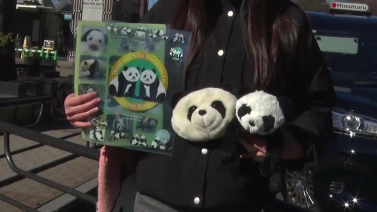 上野動物園のパンダ「シャオシャオ」と「レイレイ」平日最後の観覧に