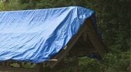 「峰竜太さんも悲しんでいると思う」　妻・海老名美どりさんと結婚式を挙げた神社で“盗難”　屋根の銅板がはがされる　総代長が怒り「青天の霹靂、罰当たりめ」　長野・下條村