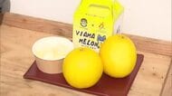 「特産品残したい」ヴィアマテラス宮崎と共同栽培　新富町でエリザベスメロン配布