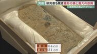 国宝級発見が一挙に2つ　精緻な文様の「盾形銅鏡」・最大級2.37mの「蛇行剣」　日本最大の円形古墳「富雄丸山古墳」から発見