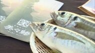 ブランド魚「めいつ美々鯵」出荷開始！日南市・目井津港で初競り1キロ1万円の高値も