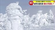 自然の造形美“蔵王の樹氷”見ごろは2月いっぱい　夜間のライトアップも実施中【山形発】