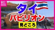 テレビ初公開！タイパビリオン　大阪にいながらタイ旅行が楽しめる　本場”タイ式マッサージ”は無料！タイパンツの土産物にトムヤンクンも【大阪・関西万博】