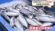 宮城県内で最も早いカツオの初水揚げ　石巻魚市場に３トン到着し高値取引　さっぱりとした味わい