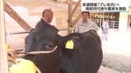 「歴史に名を残せるように」プレ全共の南那珂代表牛となる畜産農家を市長が激励