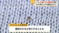 アウトドアで注意すべきマダニ感染症 県内でSFTS・日本紅斑熱感染など相次ぐ【佐賀県】