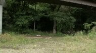17歳の女子高校生を殺害か　知人の19歳男を逮捕　相模川の河川敷で見つかり死亡確認　神奈川・相模原市