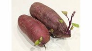 「芽が出たさつまいもを捨てないで!」毒がない芽よりも“切り口”で鮮度チェック…おすすめの品種を聞いた