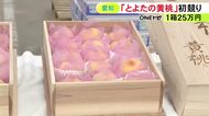 1箱25万円の値が付いたものも…愛知県豊田市の特産品『黄桃』初競り 最高級品は市内の喫茶店オーナーが競り落とす