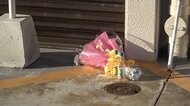 店に出入りの男を逮捕 ゲーム喫茶強盗殺人 沖縄