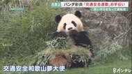 アドベンチャーワールドのパンダ「彩浜」が警察官と交通安全呼び…
