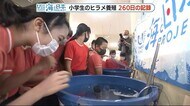 あなたは食べますか? 子供たちが育てたヒラメ 260日後の決断 静岡