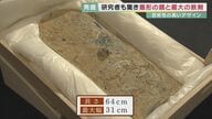 国宝級発見が一挙に2つ　精緻な文様の「盾形銅鏡」・最大級2.37mの「蛇行剣」　日本最大の円形古墳「富雄丸山古墳」から発見