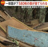 のどかな林道脇に大量の畳や建築廃材が不法投棄…私有地で撤去できず　住宅の解体工事のゴミか　栃木・佐野市