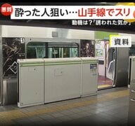 「盗んでくれと誘われた気が…」酔っている人を狙いJR山手線でスリ…71歳の男ら2人逮捕　余罪数件、被害額は50万円か　東京・池袋