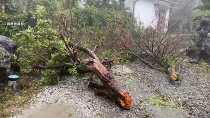 【台風22号】被害状況まとめ…強風で車横転けが人なし　倒木や電線垂れ下がり約3000軒が停電に　約350人が避難　東京・八丈町