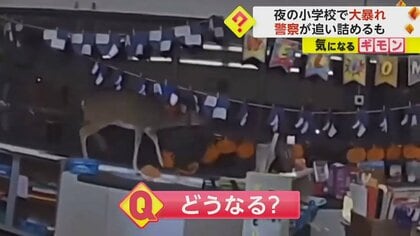 夜の小学校でシカ“大暴れ” 掲示物を蹴散らし逃走　警察が「ルドルフ」の映像公開　米・ニュージャージー州