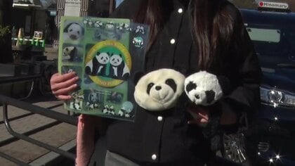 上野動物園のパンダ「シャオシャオ」と「レイレイ」平日最後の観覧に涙するファンも「生活の一部になっていた…」27日に中国・四川省へ出発