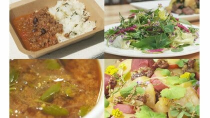 子供の頃から“雑草”をおやつにしていた研究家　「誰もが使える食糧や道具が身近に」雑草が変える農業や暮らしの未来