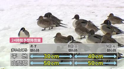 富山県内は7日朝から平地30センチ降雪予想　再び冬型の気圧配置が強まる