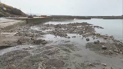 能登半島の海岸線85kmで「隆起」　津波の浸水に影響も…専門家「若干、軽減される傾向」