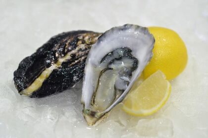 「オイスターぼんぼん」(提供:JR西日本)