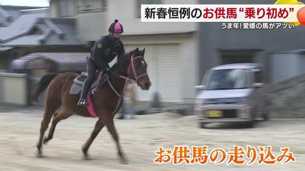 時速60キロ」で駆け抜ける！うま年の愛媛で注目される伝統行事「お供