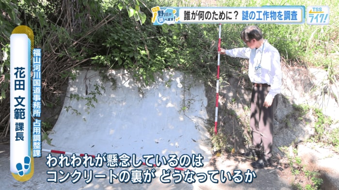 安全だと断言できない