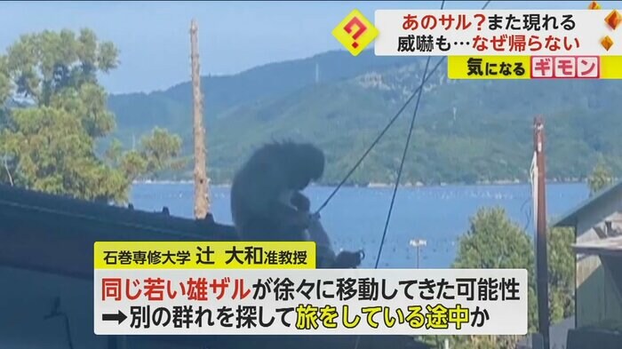 (FNN投稿サイト「ビデオPost」)