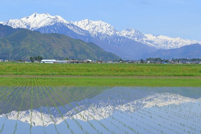 日本の原風景はどうなっていくか…(イメージ)
