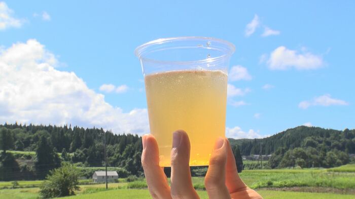 ハーブシロップを胎内市の特産品に!