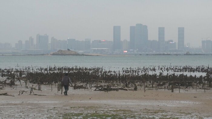 台湾の金門島から見た中国アモイ市のビル群