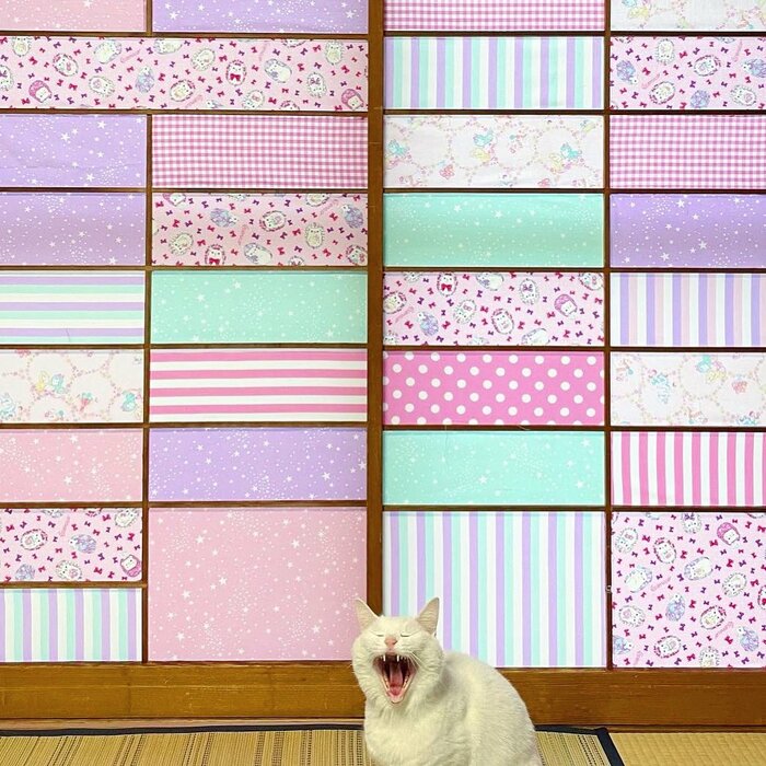 提供:絵子猫さん