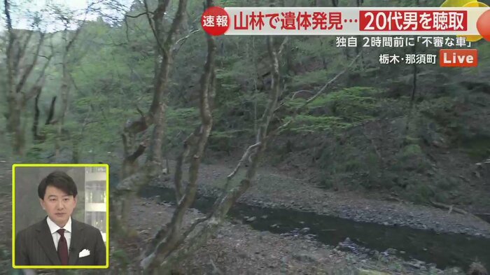 焦げた木の枝から数メートルで川が流れている