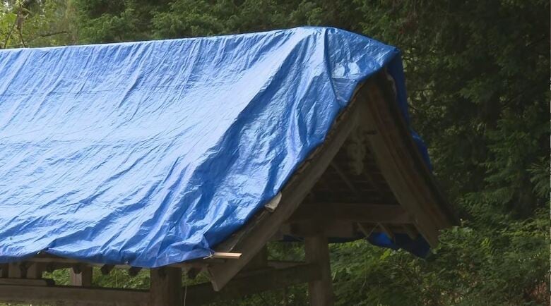「峰竜太さんも悲しんでいると思う」　妻・海老名美どりさんと結婚式を挙げた神社で“盗難”　屋根の銅板がはがされる　総代長が怒り「青天の霹靂、罰当たりめ」　長野・下條村｜FNNプライムオンライン