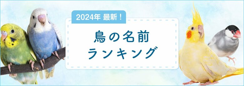 SBIプリズム少短、【2024年最新】鳥の名前ランキングを発表!