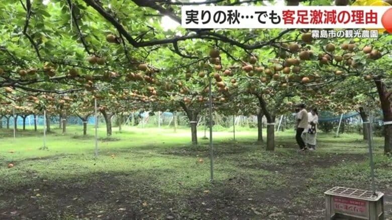 「応援してほしい」　豪雨と新燃岳噴火がもたらした苦難　通行止めや誤情報で商店、観光農園の客足激減　キャンペーンで活路模索｜FNNプライムオンライン