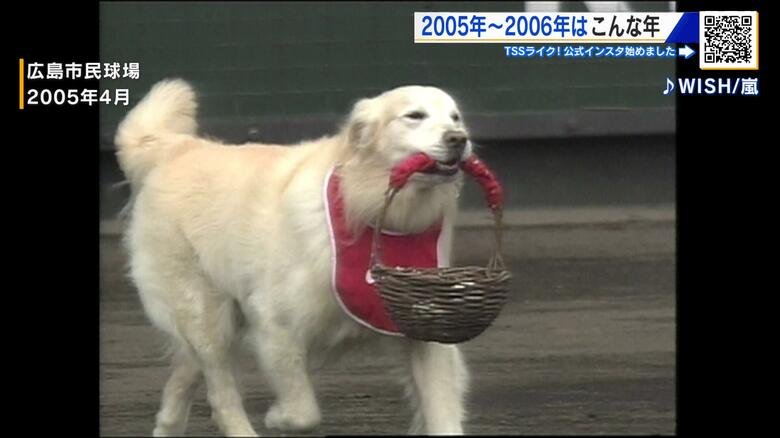 二十歳が生まれた2005年　広島は？　野球犬ミッキーくん、あいりちゃん事件、クールビス、郵政選挙…｜FNNプライムオンライン
