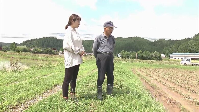 2年連続の被害に肩落とす生産者　多くの農地が大雨被害…営農継続に不安【秋田発】｜FNNプライムオンライン