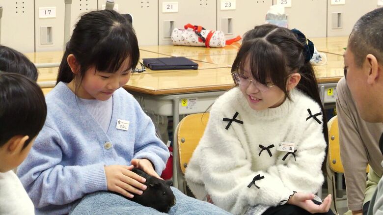 「命は弁償できない！」動物飼う小学校激減する中“レンタル” モルモット「くろちゃん」が2年2組にやってきた―旭山動物園の9週間プログラム＜北海道＞｜FNNプライムオンライン