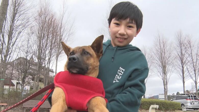 首輪なしの犬が街さまよう…「かわいそう」と捜した11歳少年　“救われた命”「保護犬」新たな家族の元へ【長野発】｜FNNプライムオンライン