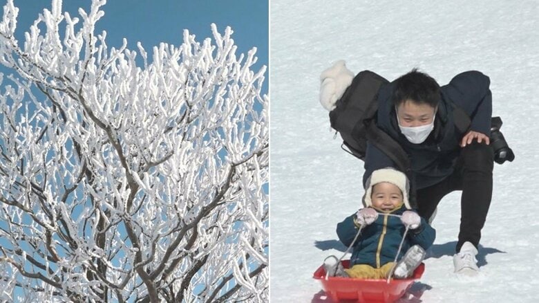 青空に映える自然の芸術「樹氷」　御在所岳に咲く冬の花…スキー場にはソリ専用ゲレンデに名物グルメも｜FNNプライムオンライン