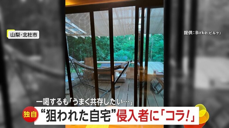 【独自】自宅に“サル”侵入で”やりたい放題”　米袋を破り食べ物探し…「うまく共存したい」が飛び跳ねて大暴れも　山梨・北杜市｜FNNプライムオンライン
