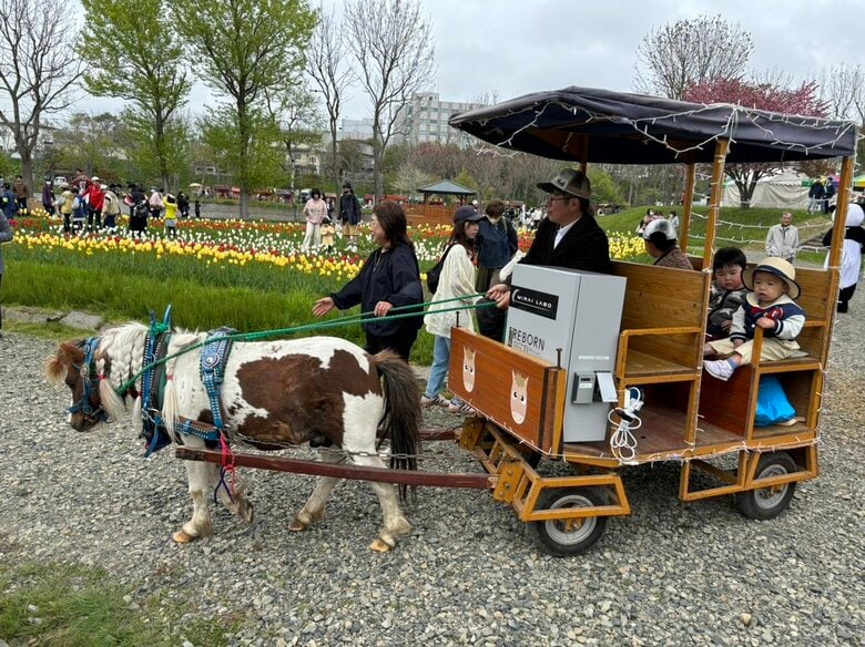 【使用済みEVバッテリーを再活用】鮮やかなイルミネーションの“花馬車”が人気に！『1万本』咲き誇る「くしろチューリップ＆花フェア」始まる＿5月25日は荒天対応〈北海道釧路市〉｜FNNプライムオンライン