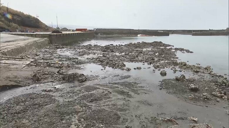 能登半島の海岸線85kmで「隆起」　津波の浸水に影響も…専門家「若干、軽減される傾向」｜FNNプライムオンライン