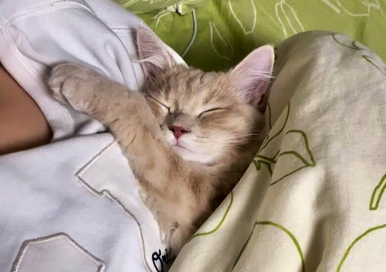 甘えん坊モードの時