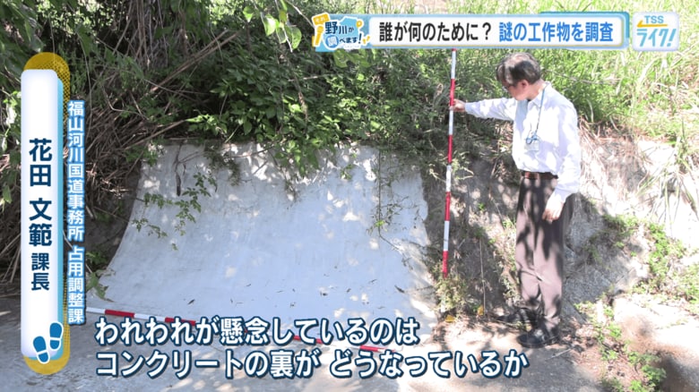 安全だと断言できない